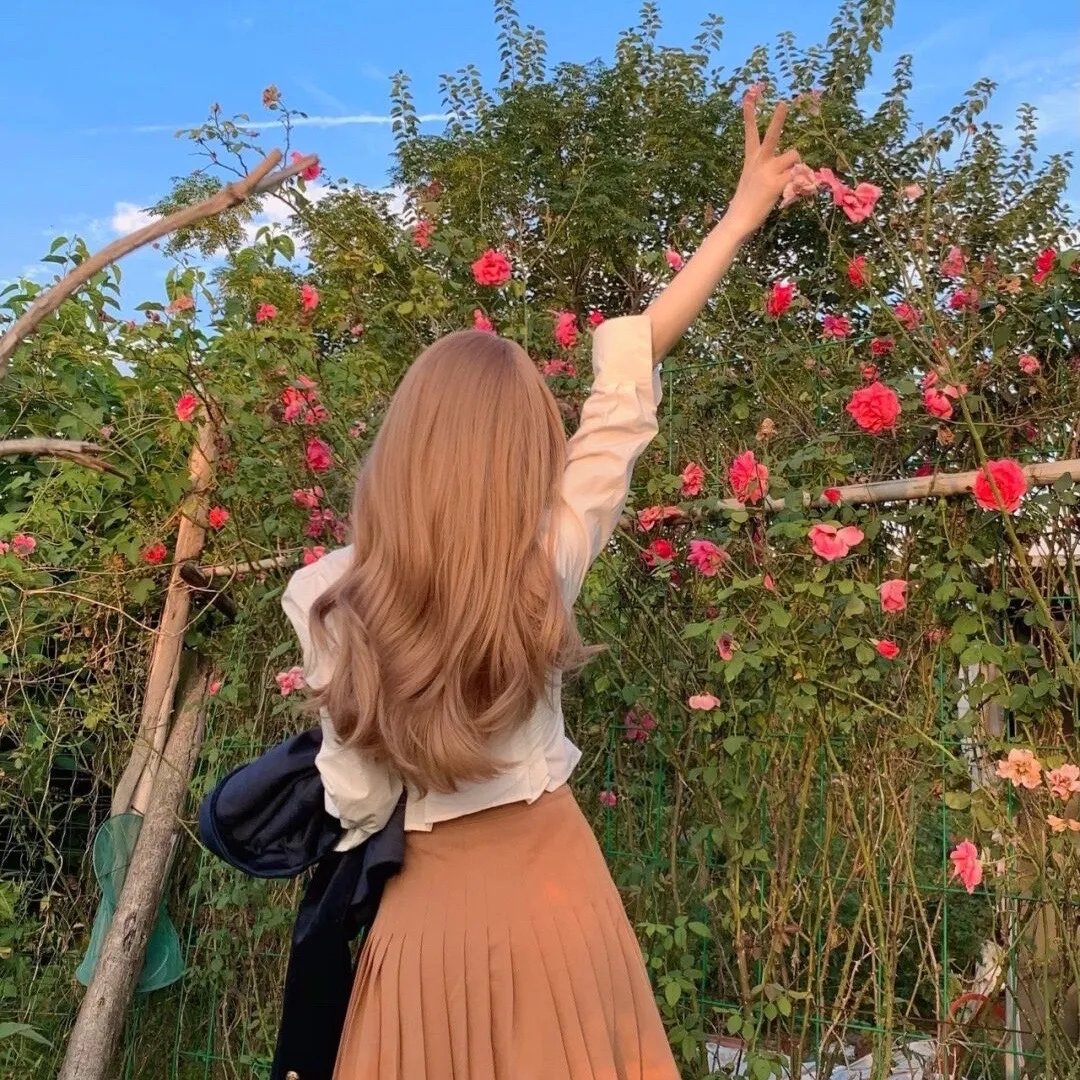 活动写真